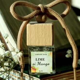 Parfum auto - lime și mango